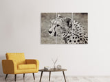 Leinwandbild 3-teilig Schöner Gepard