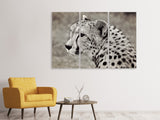 Leinwandbild 3-teilig Schöner Gepard