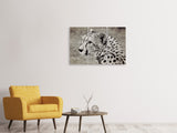 Leinwandbild 3-teilig Schöner Gepard