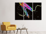 Leinwandbild 3-teilig Die Kunst des Schneidens