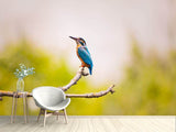 Fototapete Der Eisvogel