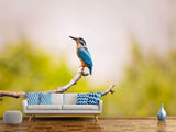 Fototapete Der Eisvogel