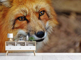 Fototapete Der Fuchs