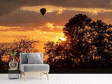 Fototapete Der Sonne entgegen mit dem Heissluft Ballon