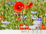 Fototapete Der wilde Mohn XL