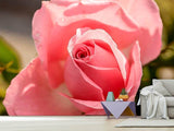 Fototapete Die Rose in rosa