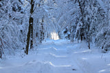 Fototapete Endlich Winter