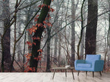 Fototapete Herbst Winter
