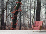 Fototapete Herbst Winter
