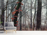 Fototapete Herbst Winter