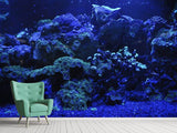 Fototapete Korallenriff in blau