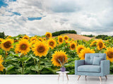 Fototapete Landschaft mit Sonnenblumen