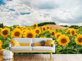 Fototapete Landschaft mit Sonnenblumen