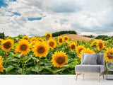 Fototapete Landschaft mit Sonnenblumen