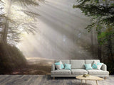 Fototapete Mystisches Licht im Wald