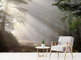 Fototapete Mystisches Licht im Wald