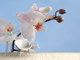 Fototapete Orchidee im Himmel