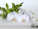 Fototapete Orchidee und Bambus