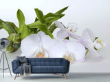 Fototapete Orchidee und Bambus