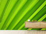 Fototapete Palm Streifen 2