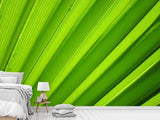Fototapete Palm Streifen 2