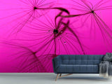 Fototapete Pusteblume in pink