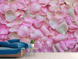 Fototapete Rosenblüten in rosa