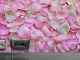 Fototapete Rosenblüten in rosa
