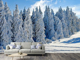 Fototapete Schöne Winterlandschaft