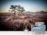 Fototapete Sehnsucht Afrika