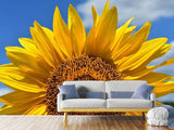 Fototapete Sonnenblume in XXL