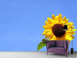 Fototapete Sonnenblume mit blauem Himmel