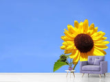 Fototapete Sonnenblume mit blauem Himmel
