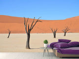 Fototapete Sossusvlei Namibia