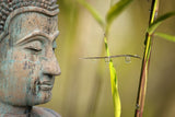 Fototapete XL Buddha Kopf