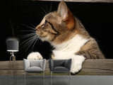 Fototapete XL Katze