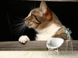 Fototapete XL Katze