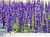 Fototapete XL Lavendel