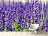 Fototapete XL Lavendel