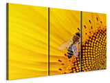 Leinwandbild 3-teilig Biene auf der Sonnenblume