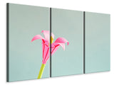 Leinwandbild 3-teilig Blumen Origami