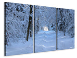Leinwandbild 3-teilig Endlich Winter