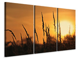 Leinwandbild 3-teilig Sonnenaufgang auf dem Feld