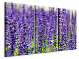 Leinwandbild 3-teilig XL Lavendel