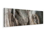 Leinwandbild Panorama Close Up Elefant