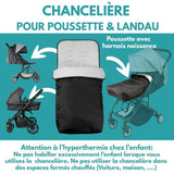 BAMBISOL Chanceliere