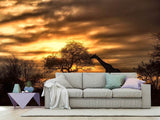 Fototapete African Dreams