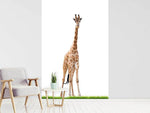 Fototapete Die lange Giraffe