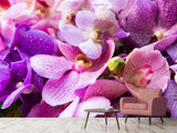 Fototapete Im Orchideenparadies