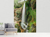 Fototapete Klarer Wasserfall